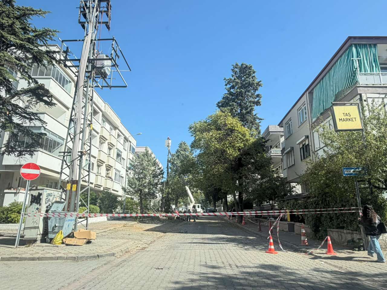 ​Menteşe’de Riskli Ağaçlar İçin Düğmeye Basıldı: Çalışmalar Resmen Başladı 3